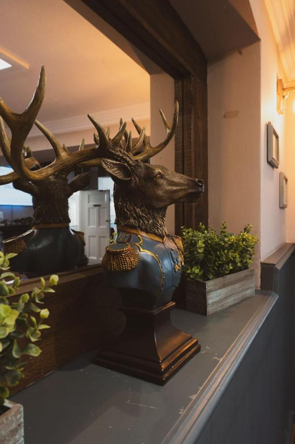 The Stag Hotel And Mailmans Arms Lyndhurst Dış mekan fotoğraf