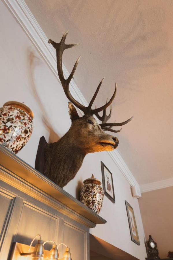 The Stag Hotel And Mailmans Arms Lyndhurst Dış mekan fotoğraf